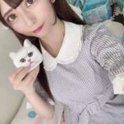 ヒメ日記 2025/06/27 00:12 投稿 ひなみ ジャパンクラブ富士