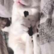 ヒメ日記 2025/04/03 16:19 投稿 あや ぽっちゃり巨乳美女専門川越ちゃんこ