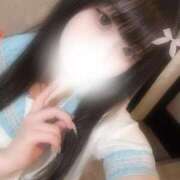 ヒメ日記 2025/02/16 11:43 投稿 ちい ホワイトハウス