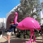 ヒメ日記 2025/05/17 19:35 投稿 音葉(オトハ) 翡翠の夢