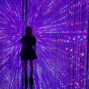 ヒメ日記 2025/04/30 12:06 投稿 舞子(マイコ) 翡翠の夢