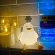 ヒメ日記 2025/05/16 00:15 投稿 舞子(マイコ) 翡翠の夢