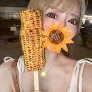 ヒメ日記 2025/07/14 11:55 投稿 舞子(マイコ) 翡翠の夢