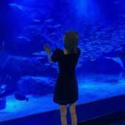 ヒメ日記 2025/08/07 03:05 投稿 舞子(マイコ) 翡翠の夢