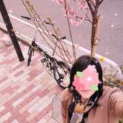 ヒメ日記 2025/03/24 06:00 投稿 りかこ 性腺熟女100％鶯谷（デリヘル市場）