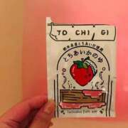 ヒメ日記 2025/11/12 22:05 投稿 紫乃(しの) 渋谷蘭の会