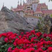 ヒメ日記 2025/03/11 19:37 投稿 白金ゆら ハプニング痴漢電車or全裸入室