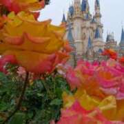 ヒメ日記 2025/03/13 07:27 投稿 白金ゆら ハプニング痴漢電車or全裸入室