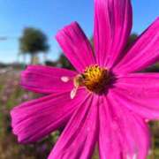 ヒメ日記 2025/03/14 19:01 投稿 白金ゆら ハプニング痴漢電車or全裸入室