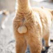 ヒメ日記 2025/03/27 08:17 投稿 白金ゆら ハプニング痴漢電車or全裸入室