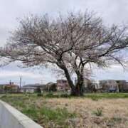 ヒメ日記 2025/04/01 19:03 投稿 白金ゆら ハプニング痴漢電車or全裸入室