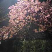 ヒメ日記 2025/04/03 09:57 投稿 白金ゆら ハプニング痴漢電車or全裸入室