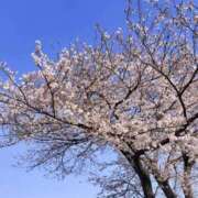 ヒメ日記 2025/04/08 05:17 投稿 白金ゆら ハプニング痴漢電車or全裸入室