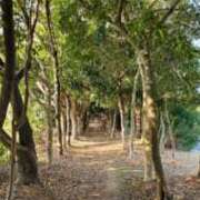 ヒメ日記 2025/04/13 00:27 投稿 白金ゆら ハプニング痴漢電車or全裸入室