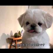 ヒメ日記 2025/04/25 16:37 投稿 白金ゆら ハプニング痴漢電車or全裸入室