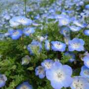 ヒメ日記 2025/05/01 08:37 投稿 白金ゆら ハプニング痴漢電車or全裸入室