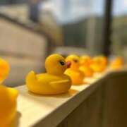 ヒメ日記 2025/05/07 11:10 投稿 白金ゆら ハプニング痴漢電車or全裸入室