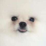 ヒメ日記 2025/05/08 06:07 投稿 白金ゆら ハプニング痴漢電車or全裸入室