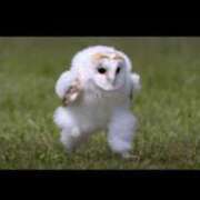 ヒメ日記 2025/05/09 16:47 投稿 白金ゆら ハプニング痴漢電車or全裸入室