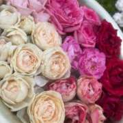 ヒメ日記 2025/05/28 15:57 投稿 白金ゆら ハプニング痴漢電車or全裸入室