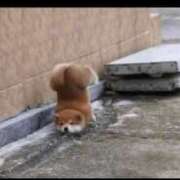 ヒメ日記 2025/06/03 17:37 投稿 白金ゆら ハプニング痴漢電車or全裸入室