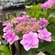 ヒメ日記 2025/06/08 11:47 投稿 白金ゆら ハプニング痴漢電車or全裸入室