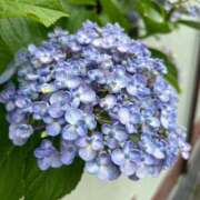 ヒメ日記 2025/06/10 12:47 投稿 白金ゆら ハプニング痴漢電車or全裸入室