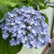 ヒメ日記 2025/06/11 09:07 投稿 白金ゆら ハプニング痴漢電車or全裸入室