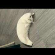 ヒメ日記 2025/06/13 17:20 投稿 白金ゆら ハプニング痴漢電車or全裸入室