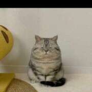 ヒメ日記 2025/06/26 05:47 投稿 白金ゆら ハプニング痴漢電車or全裸入室