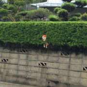 ヒメ日記 2025/07/10 17:47 投稿 白金ゆら ハプニング痴漢電車or全裸入室