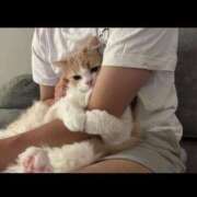 ヒメ日記 2025/07/11 06:37 投稿 白金ゆら ハプニング痴漢電車or全裸入室