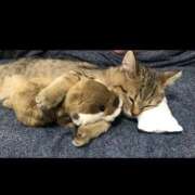 ヒメ日記 2025/07/11 19:11 投稿 白金ゆら ハプニング痴漢電車or全裸入室