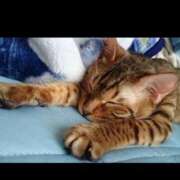 ヒメ日記 2025/07/16 12:08 投稿 白金ゆら ハプニング痴漢電車or全裸入室