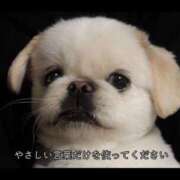 ヒメ日記 2025/07/19 05:37 投稿 白金ゆら ハプニング痴漢電車or全裸入室