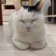 ヒメ日記 2025/07/25 05:07 投稿 白金ゆら ハプニング痴漢電車or全裸入室