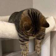 ヒメ日記 2025/07/30 14:47 投稿 白金ゆら ハプニング痴漢電車or全裸入室