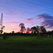 ヒメ日記 2025/08/05 05:47 投稿 白金ゆら ハプニング痴漢電車or全裸入室