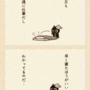 ヒメ日記 2025/08/09 03:47 投稿 白金ゆら ハプニング痴漢電車or全裸入室