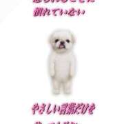 ヒメ日記 2025/12/05 00:47 投稿 白金ゆら ハプニング痴漢電車or全裸入室