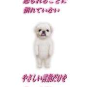 ヒメ日記 2025/12/11 09:07 投稿 白金ゆら ハプニング痴漢電車or全裸入室