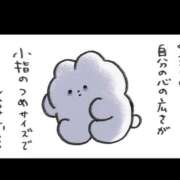 ヒメ日記 2025/12/29 07:07 投稿 白金ゆら ハプニング痴漢電車or全裸入室