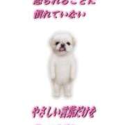 ヒメ日記 2026/01/21 10:01 投稿 白金ゆら ハプニング痴漢電車or全裸入室