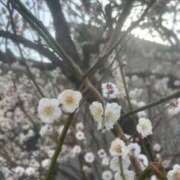 ヒメ日記 2026/02/25 07:18 投稿 白金ゆら ハプニング痴漢電車or全裸入室