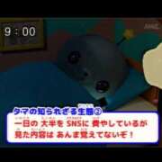 ヒメ日記 2026/03/15 09:47 投稿 白金ゆら ハプニング痴漢電車or全裸入室