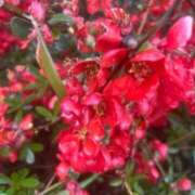 ヒメ日記 2026/03/26 13:57 投稿 白金ゆら ハプニング痴漢電車or全裸入室