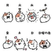 ヒメ日記 2026/04/22 06:37 投稿 白金ゆら ハプニング痴漢電車or全裸入室