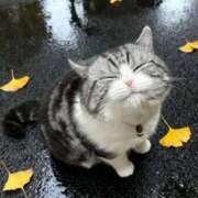 ヒメ日記 2026/04/26 23:07 投稿 白金ゆら ハプニング痴漢電車or全裸入室