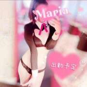 ヒメ日記 2025/07/06 12:26 投稿 まりあ【高身長】【パイパン】 ドMな逆バニーちゃん　すすきの店