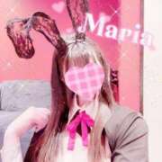 ヒメ日記 2025/08/14 15:16 投稿 まりあ【高身長】【パイパン】 ドMな逆バニーちゃん　すすきの店